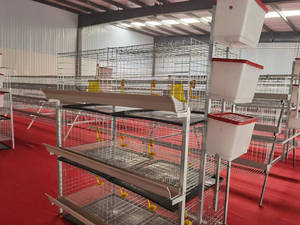 Công nghiệp lớn h loại gà Coop Nhà Gia cầm trang trại tự động <span class=keywords><strong>x</strong></span>úc <span class=keywords><strong>x</strong></span>ích Pin nâng cao hệ thống lồng gà cho lớp nâng cao - Product Image 5