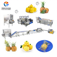 Fabrieksmatig geproduceerde ananaslijn 304 roestvrijstalen motor CE-gecertificeerde ananas schil-, snij- en droogmachine Fengxiang merk 1