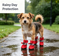 Bottes de pluie imperméables de luxe pour chiens, pour l'hiver, avec coussinets adhésifs pour petites pattes, protection des pattes, chaussures de créateur