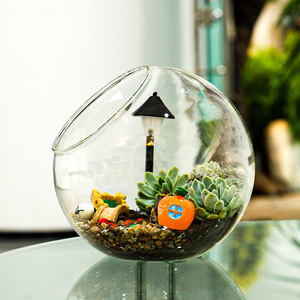 Vaso di decorazione per la casa succulenta aria chiara globo Micro paesaggio terrario palla di vetro - Product Image 5