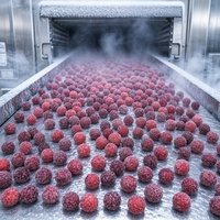 Graad A Halal IQF Diepvries Bayberry Groothandel |   100% natuurlijke verse Waxberry Yangmei voor sappen, smoothies & desserts