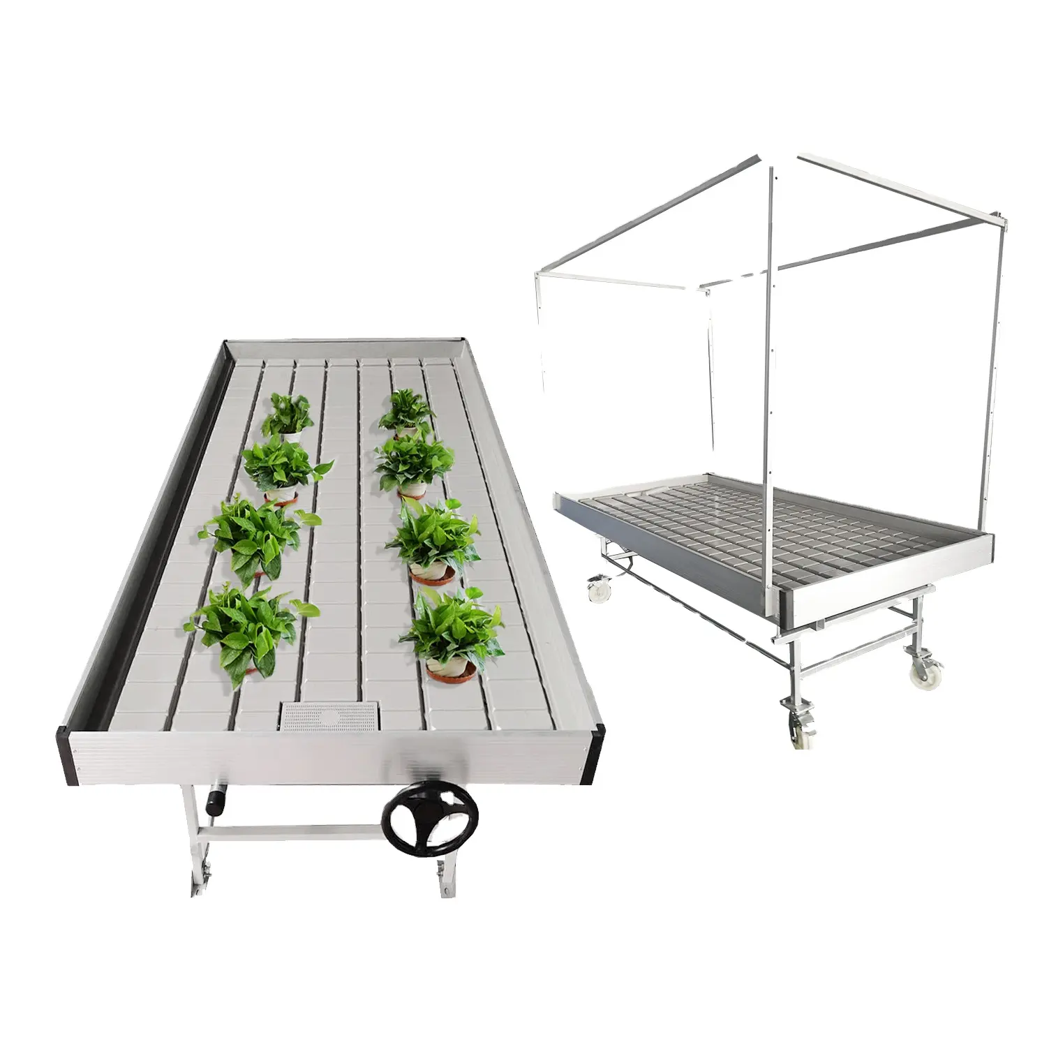 Hydrocultuur Rolling Bank Tafel Landbouw Verticale Groeiende Eb En Vloed Planten Groeien Tafel