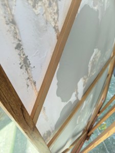 Grande <span class=keywords><strong>Peinture</strong></span> à l'Huile sur Toile Texturée de Luxe avec Motif Floral Ginkgo pour Salon <span class=keywords><strong>Moderne</strong></span> - Product Image 3