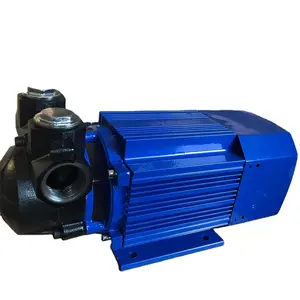 Xăng và diesel phổ 1 inch 12V/24V/220V bơm màu xanh