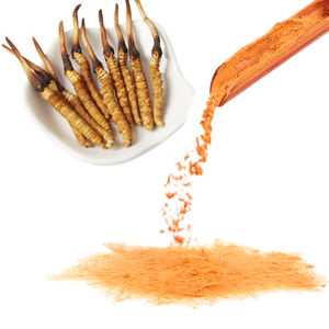 Cápsulas <span class=keywords><strong>cordyceps</strong></span> sinensis natural, cápsulas macias de extrato de <span class=keywords><strong>cordyceps</strong></span> sinensis - Product Image 6