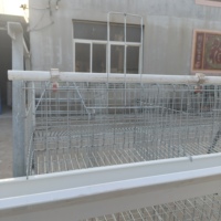 Nouvelles cages à poulets en acier galvanisé à chaud de type 3/4 niveaux avec collecte automatique des œufs pour fermes avicoles en cascade - Faible entretien