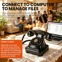 Livre d'or audio vintage en forme de téléphone antique, enregistreur de messages vocaux HD pour événements de mariage, mémoire 16 Go, matériau ABS durable, direct usine