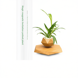 Plante en pot à lévitation magnétique magique, pot flottant géométrique en bois pour petites plantes, décoration de bureau intérieure - Product Image 1