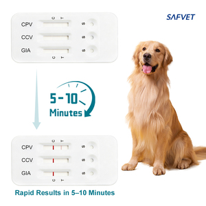 Prueba Rápida de CPV, Prueba Rápida de Parvovirus <span class=keywords><strong>Canino</strong></span> Ag, Pruebas Rápidas Veterinarias, Parvo Serum para Perros Ag - Product Image 5