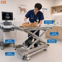 Table d'examen vétérinaire électrique réglable en hauteur en acier inoxydable, équipement pour clinique vétérinaire, hôpital, examen des chiens et des chats