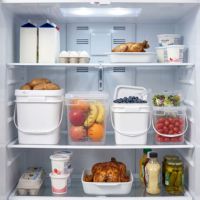 Seau carré en plastique scellé personnalisé IML de qualité alimentaire avec couvercle et poignée, idéal pour la nourriture pour animaux de compagnie - Vente en gros usine