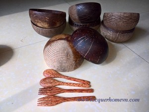 Tazón de Coco Natural Ecológico Hecho a Mano, Tazón para Servir Ensaladas y Smoothies, Seguro para Alimentos, Exportación Global B2B al por Mayor - Product Image 6