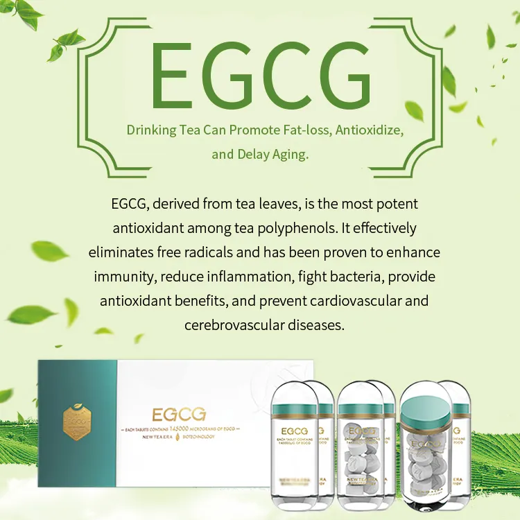 Premium EGCG Infused Pressed Tablet Candy: Promoting Cardiovascular Health and Cellular Protection