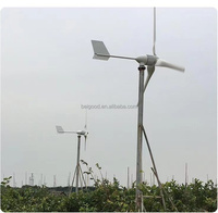 Beigood 1000w 24v 48v générateur d'éolienne Horizonta à faible bruit avec ventilateur de vent à pales intérieures en fibre de verre pour un usage domestique