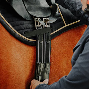 Meilleures ventes : Nouvelle sangle d'équitation professionnelle en acier inoxydable, vente en gros, design personnalisé, haute qualité - Product Image 5