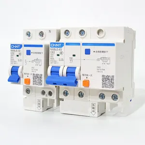 CHINT ac circuit breaker with manual reset NXBLE-63 Automatic plastic Circuit Breaker With Short-circuit Leakage Protection