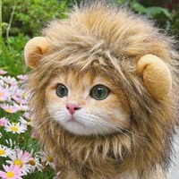 Perruque simple, élégante et confortable en polyester à imprimé animal, accessoire amusant pour animaux de compagnie (chats, chiens, lions, lapins) pour Halloween et Noël