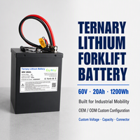 Custom Lithium Ion Battery Pack 60V 20Ah 1200Wh NCM Battery with Smart BMS for Electric Moped and Electric Motorcycle