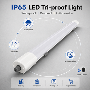 IP65 2FT Surface Mounted LED Tri-proof Ceiling Batten 16W Linear <b>Light</b> 130lm/W with 3-Year Warranty for Warehouses - Product Image 1
