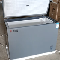 Congélateur horizontal 300L Congélateur profond Congélateur simple porte de haute qualité Ingrédients de congélation appropriés Grande capacité Commercial