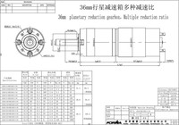Moteur CC à balais à engrenages planétaires micro 36 mm, 12V/24V, couple élevé, faible régime, pour trancheuse à viande, extension de hayon automatique, ventilateur d'appareil électroménager
