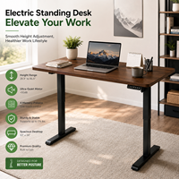Bureau debout électrique ergonomique moderne à moteur unique, cadre en acier réglable, usage commercial et bureautique, achat en gros