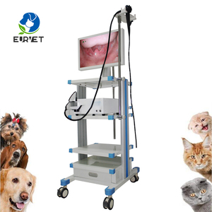 Endoscopio Veterinario de Bajo <span class=keywords><strong>Precio</strong></span> EUR VET, Endoscopio Flexible para Animales Pequeños, Sonda Rígida Flexible, Endoscopio Médico Flexible CMOS - Product Image 4