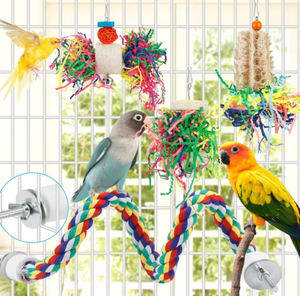 3 paket papağan kafes kuş kabağı asılı oyuncak afrika gri papağan kuş çiğneme oyuncaklar için Foraging parçalayıcı oyuncak - Product Image 4