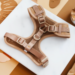 Set Kalung dan Tali Anjing SinSky yang Dapat Disesuaikan, Tempat Kantong Kotoran, Harness Anjing Beludru Bersulam, 6 Buah Set Harness Anjing Kustom - Product Image 2