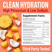Premium Pina Colada Electrolyte Vitamine C et Potassium Poudre Boisson Mix pour Hydratation Soutien