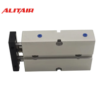 Cylindre ALITAIR série TN, cylindre à double tige standard, double cylindre pneumatique en acier de petite taille