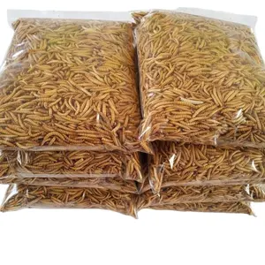 Microwave Dried Feeder Mealworms for birds, fish, lizards, spiders, geckos, hedgehogs, chameleons, hamsters etc. treats treats