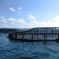 Cage flottante en PEHD de haute qualité pour aquaculture, diamètre 15-20m, pour l'élevage de poissons, piège de pêche en plastique