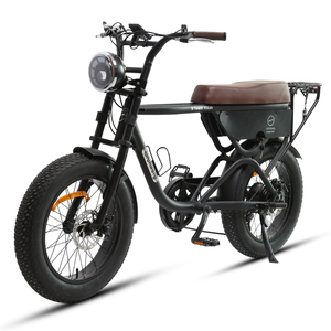 TXED personalizzabile 48V 15.6Ah motore elettrico potenza 250/500/750W adulto 15.6Ah grasso pneumatico retrò sterrato E <span class=keywords><strong>moto</strong></span> da turismo - Product Image 2