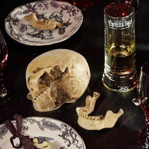 Résine Crâne Humain SKB24 Bar Décoration ou Halloween Cadeau Réaliste Crâne Humain Modèle Spécimen Artisanat - Product Image 6