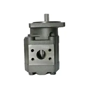 Parker P PGP Series Hydraulic Pump PGP2 PGP020 PGP030 PGP31 PGP50 PGP51 PGP75 PGP76 P315 P330 P350 P365 Hydraulic Gear Pump