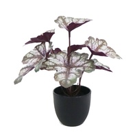 Plante artificielle mini Caladium Taro à 7 feuilles, 23 cm de haut, vente en gros, petit bonsaï
