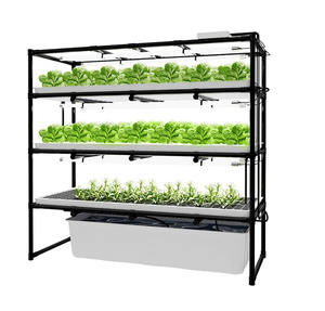 Système de culture hydroponique de micro-légumes bio pour l'intérieur, avec éclairage LED pour la culture - Product Image 6