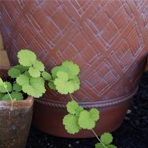 Grand pot d'extérieur en faïence similaire à l'oxyde de magnésium à double oreille de conception classique Pot de fleurs de décoration de jardin en <span class=keywords><strong>poterie</strong></span> - Product Image 4
