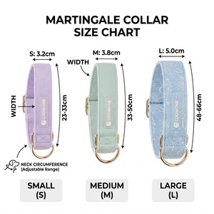 Collier Martingale <span class=keywords><strong>pour</strong></span> chien avec clip frontal, ensemble collier et <span class=keywords><strong>laisse</strong></span> personnalisé, collier et <span class=keywords><strong>laisse</strong></span> réglables <span class=keywords><strong>pour</strong></span> chiens de petite, moyenne et grande taille - Product Image 4