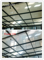 Verre intelligent commutable, isolant, trempé, transparent, massif ou creux, de taille personnalisée, pour usage commercial et industriel, marque Guoxin