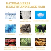 Personnalisé Ganoderma Batana Argan Castor Gingembre Science-soutenu Sérum pour les cheveux du cuir chevelu Favorise Visiblement-Épais Léger