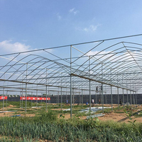 Serre agricole Bafangle à simple travée avec structure en acier et bâche, installation facile, conception tunnel vert pour jardins