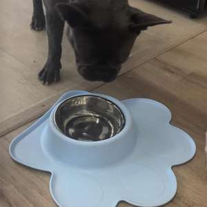 Ciotola a Forma di Zampa per Animali Domestici con Inserto in Acciaio Inox e Base Antiscivolo in Silicone per Cibo e Acqua di Cani e Gatti - Product Image 6