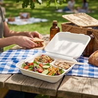 3-delige suikerrietbagasse clamshell voedselbox, biologisch afbreekbaar, composteerbaar, voor afhaalmaaltijden, picknick en kamperen