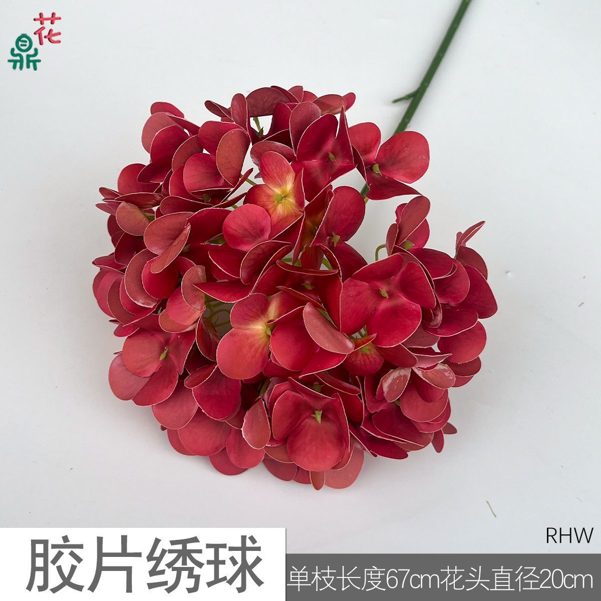 Film Hydrangea RHW Red