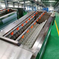 Multifunctionele wortelgroente- en fruitborstelreinigingsmachine voor groenteverwerkingslijnen