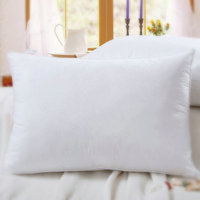 Oreillers de lit solides pour lit King et Queen Size, garnissage en duvet d'oie OEKO-TEX, qualité hôtelière supérieure