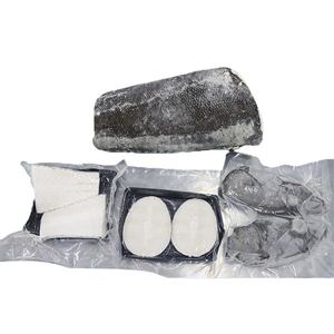 سمك الأسنان المجمد (ديسوستيكس إليجينويدس) لسوق المأكولات البحرية العالمية والأعمال التجارية الدولية للتصدير - Product Image 5