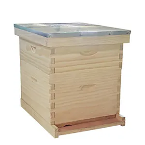Benefit bee Fabrik preis zwei Ebenen China Tanne Material 10 oder 8 Rahmen Langs troth Bienenstock
